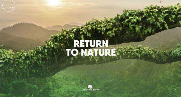 �������õľW(w��ng)վ���O(sh��)˼·