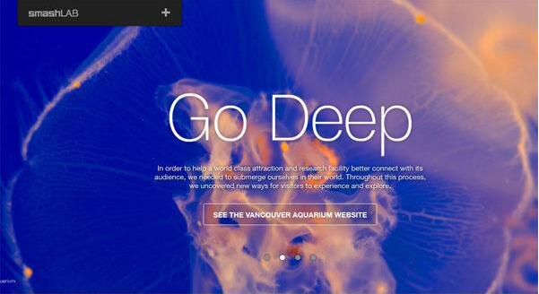 ��ɫϵ�ľWվ���O�Ĵ���